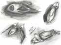 X2_ArtShot_1 (����������: 6215)